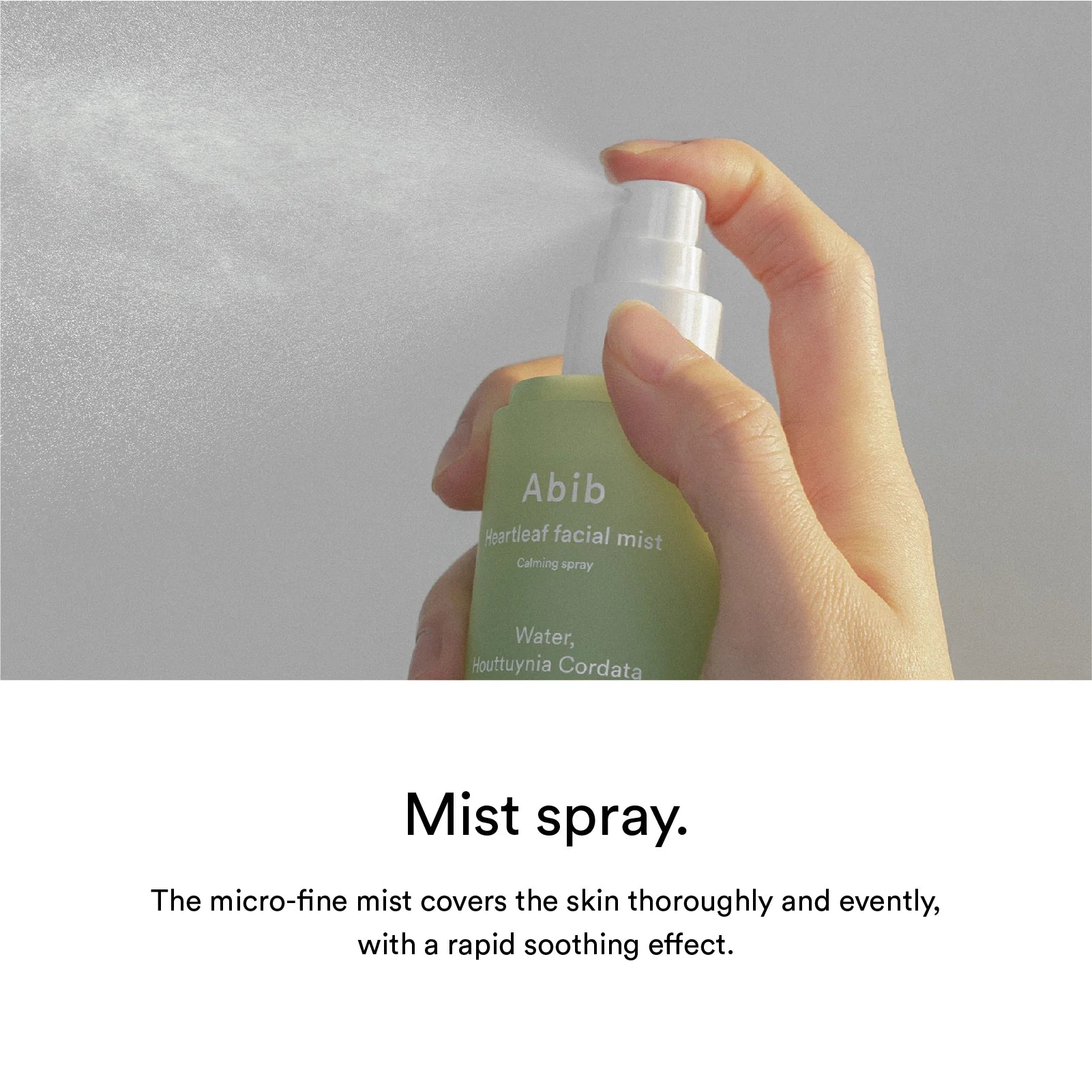 Abib Heartleaf Facial Mist Calming Spray Set (150mI+150mI) - Abib | Kiokii and...