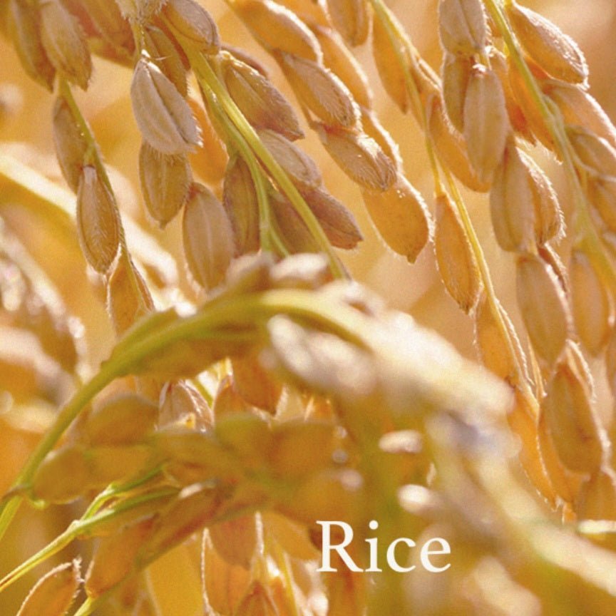 I'm from Rice Toner 150ml - I'm from | Kiokii and...