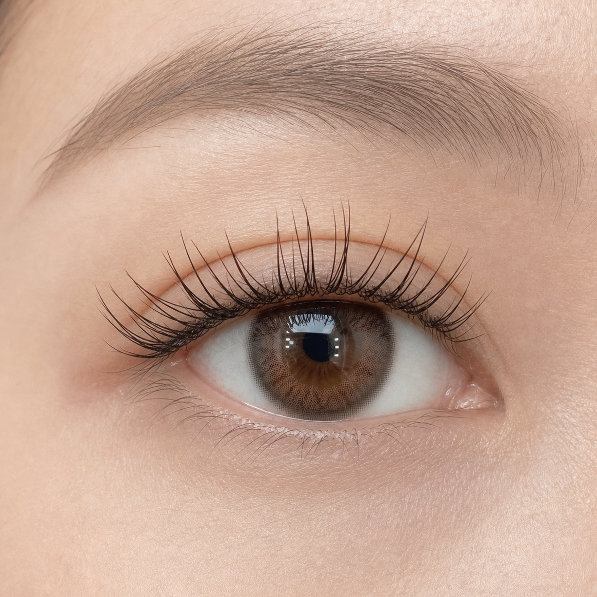 Livre de faux cils WINKALA – Réutilisables et sans colle (naturels et légers) 6 mm