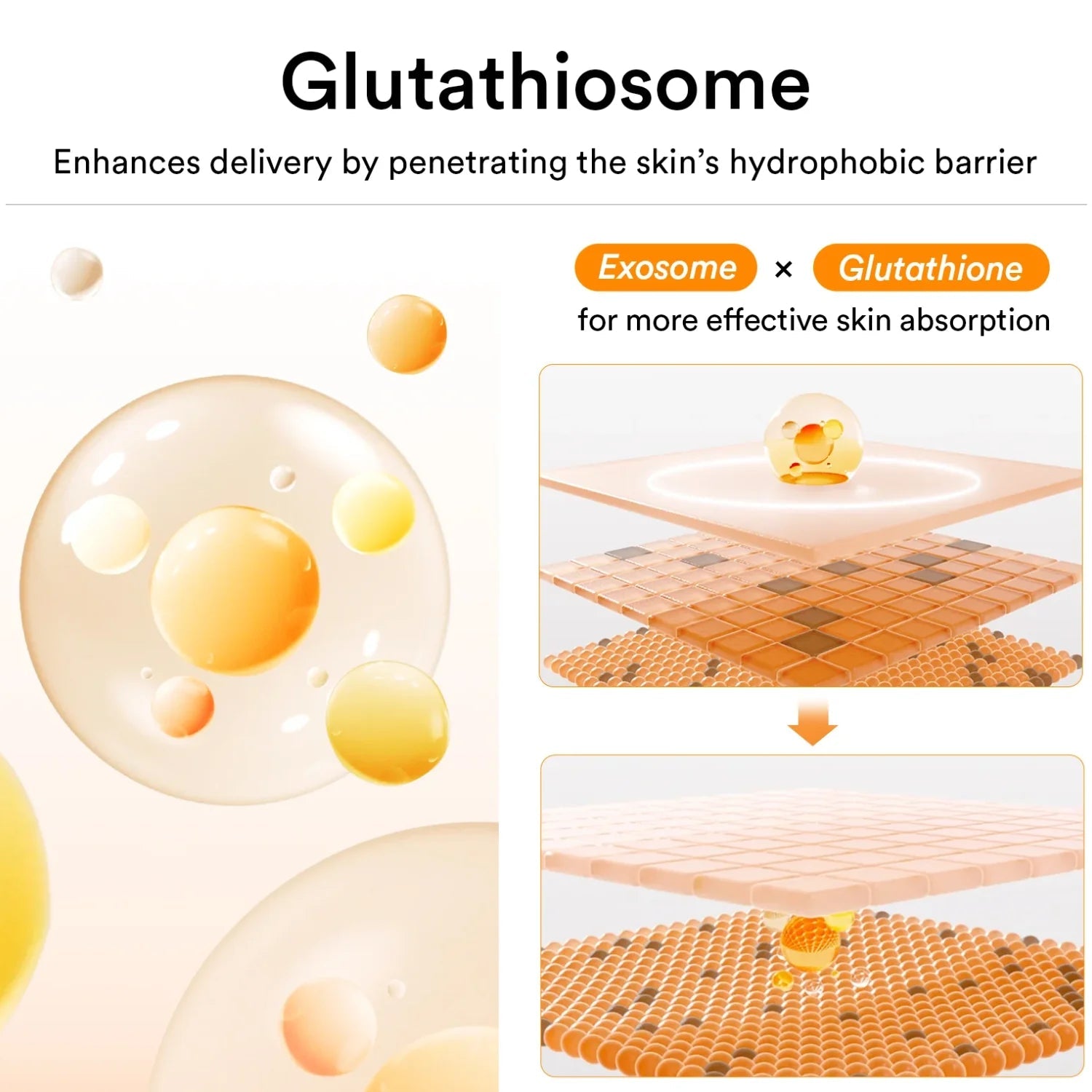 liposomal glutathione effectiveness evidence Glutathione as a skin‐lightening agent and in melasma: a systematic review  - Sarkar - 2025 - International Journal of Dermatology