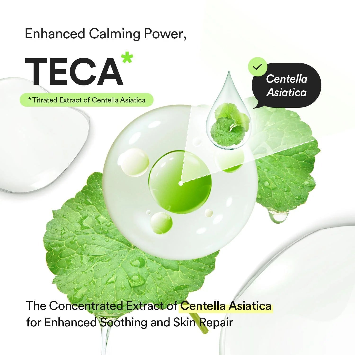 Abib Heartleaf TECA Capsule Serum Calming Drop 50ml by Abib – Serum & Ampoule