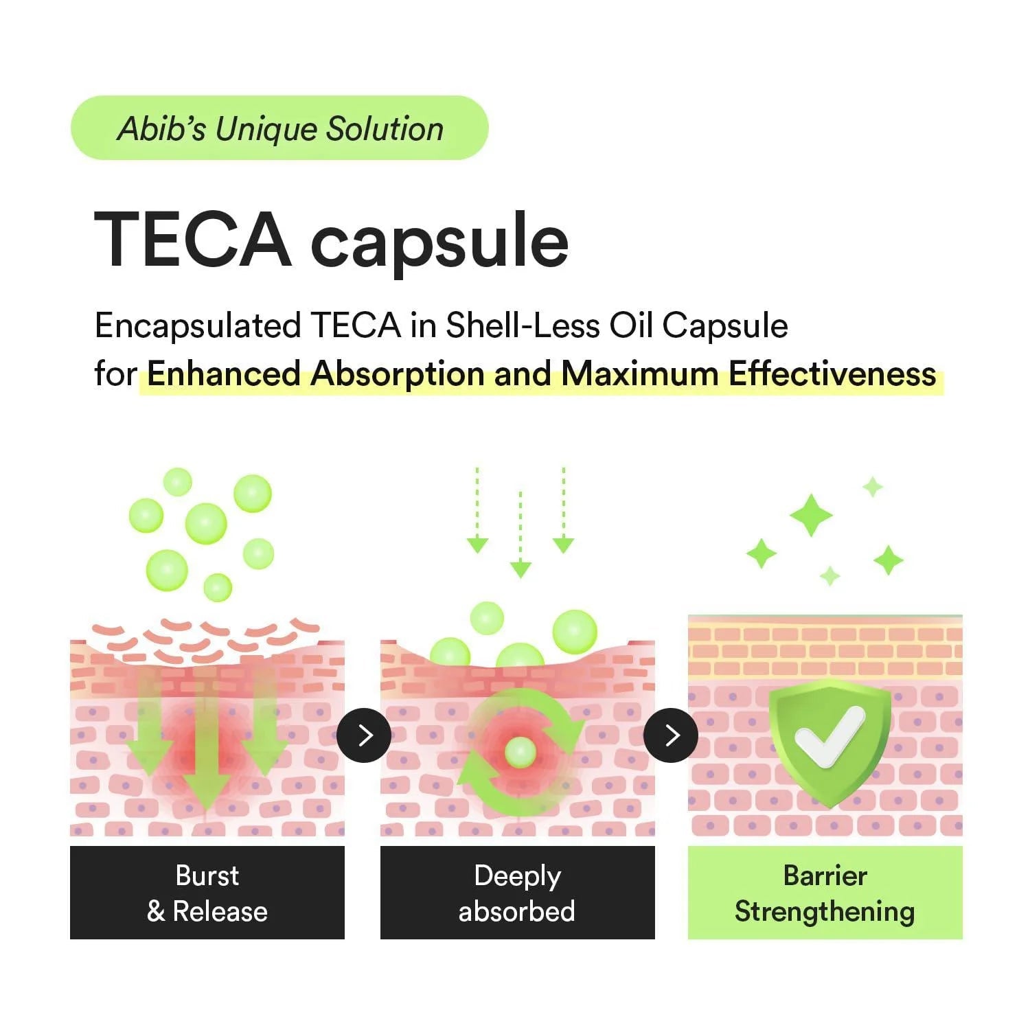 Abib Heartleaf TECA Capsule Serum Calming Drop 50ml by Abib – Serum & Ampoule