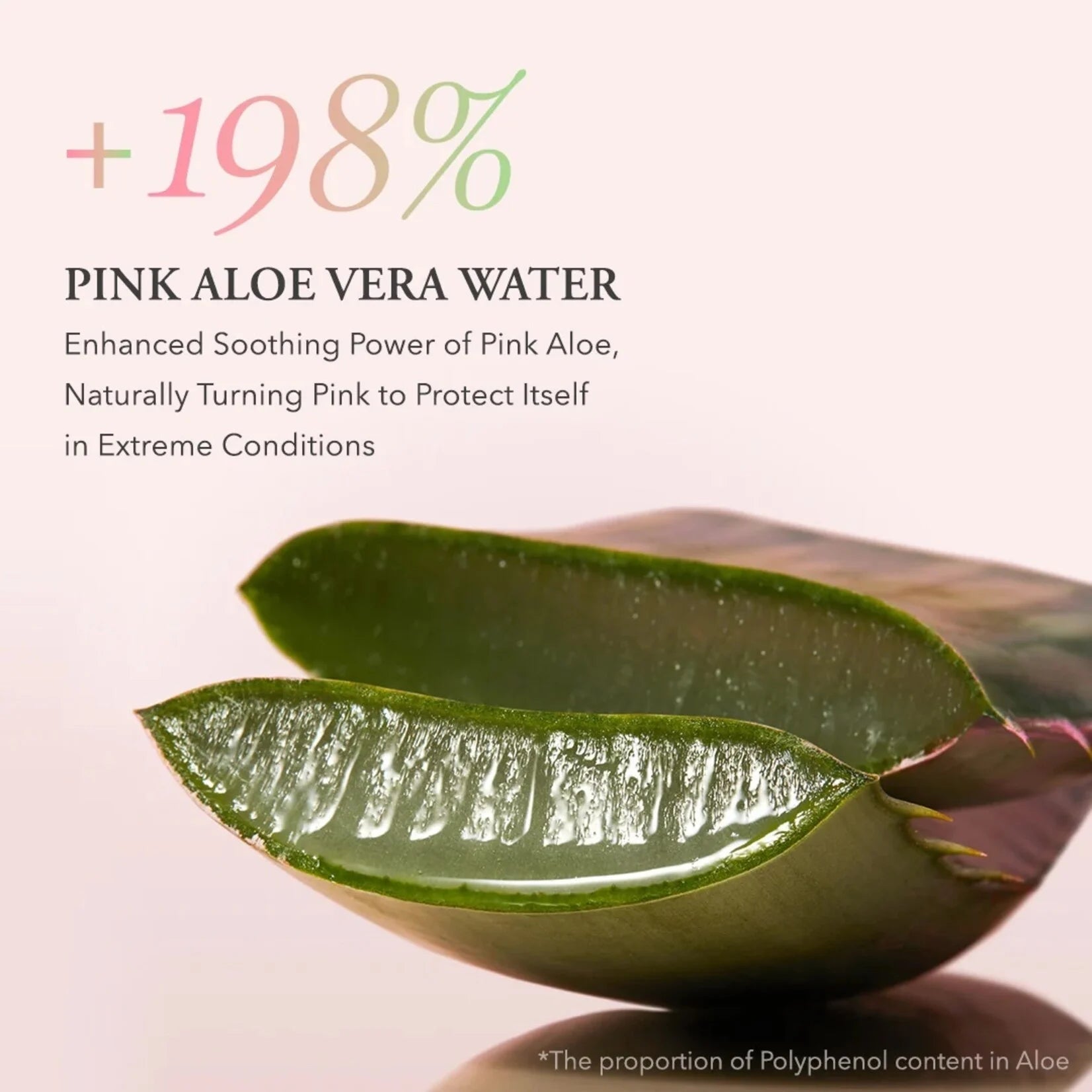 APRILSKIN Pink Aloe Pack Cleanser 120g by Aprilskin – Facial Cleanser