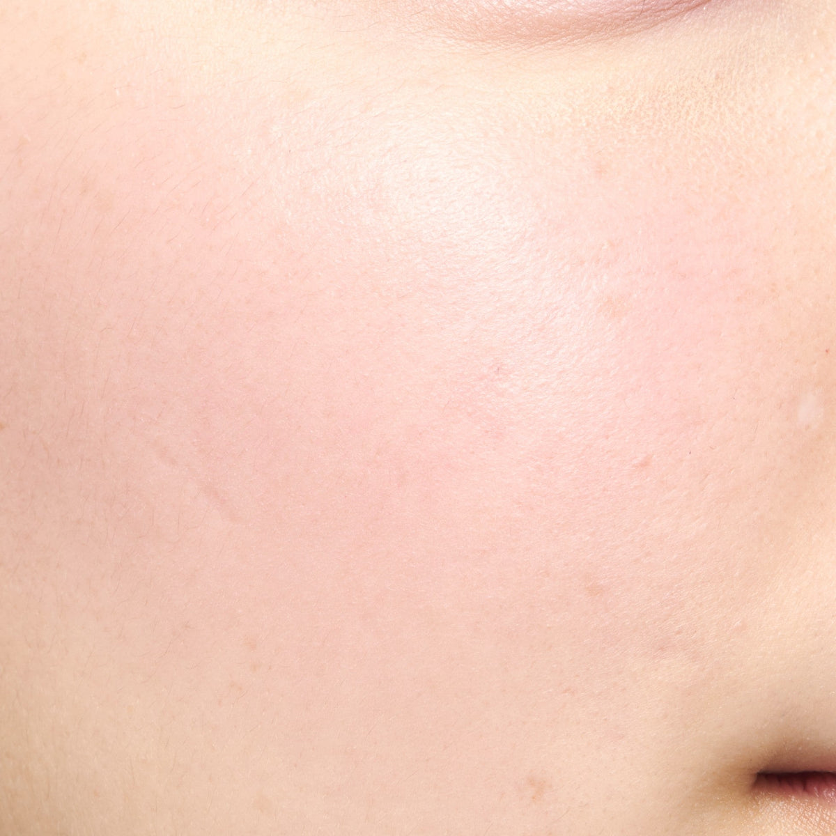 CANMAKE Cream Cheek by CANMAKE – Blush