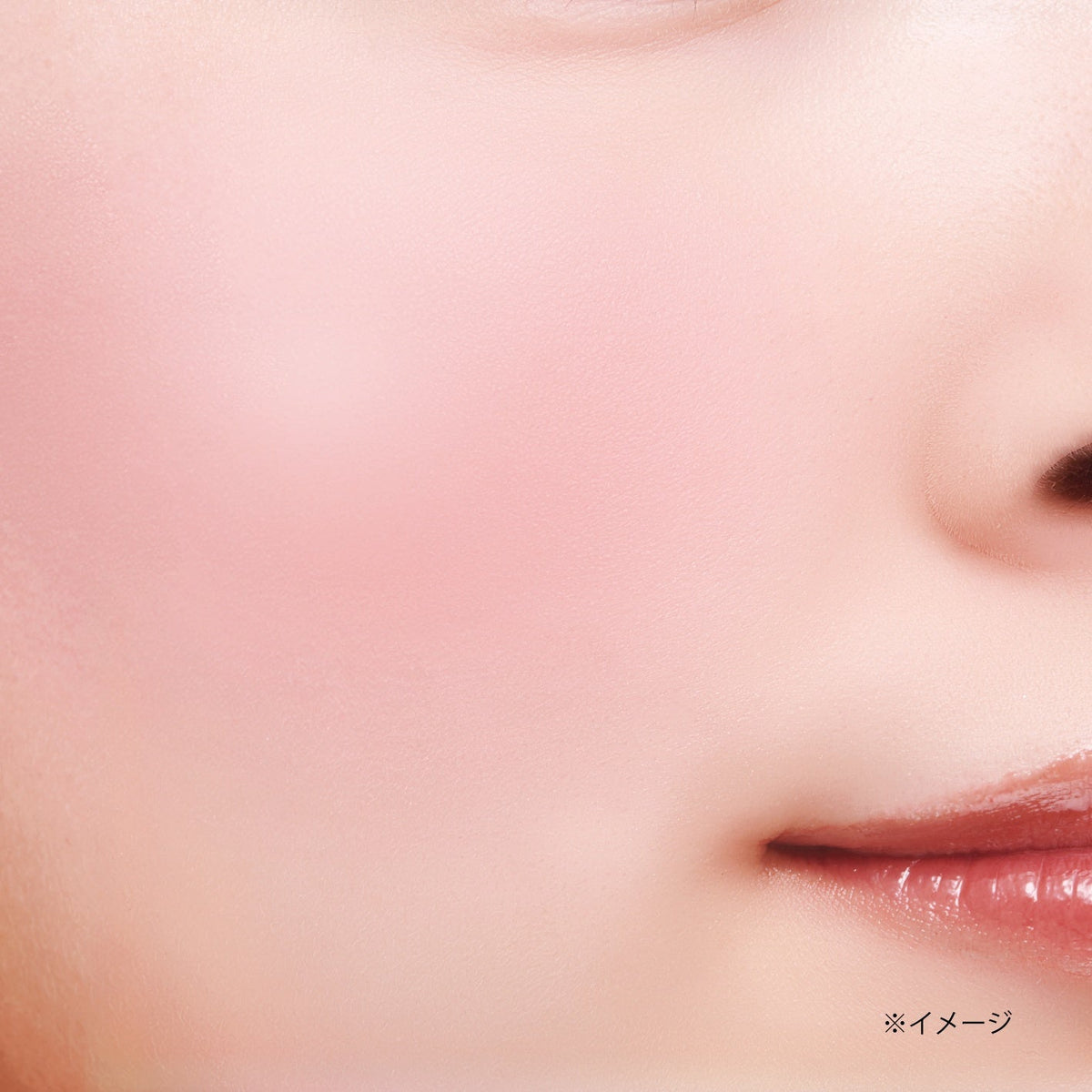 CANMAKE Gradation Cheeks by CANMAKE – Blush