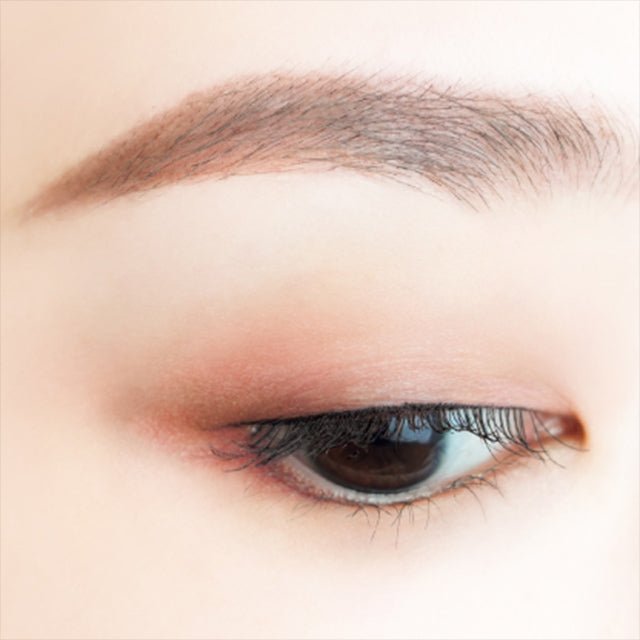 CANMAKE Perfect Multi Eyes by CANMAKE – Eye Shadow