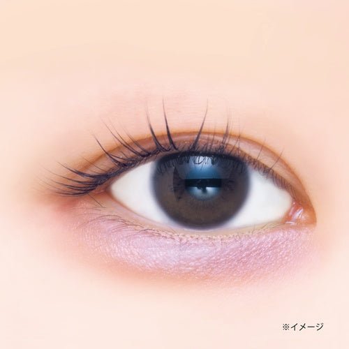 CANMAKE Plumpuku Coordinate Eyes by CANMAKE – Eye Shadow