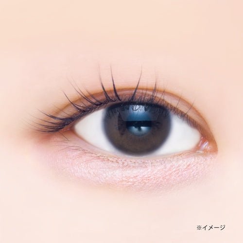 CANMAKE Plumpuku Coordinate Eyes by CANMAKE – Eye Shadow