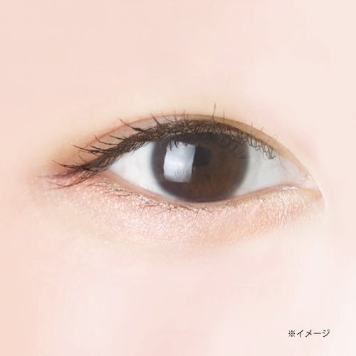 CANMAKE Plumpuku Coordinate Eyes by CANMAKE – Eye Shadow
