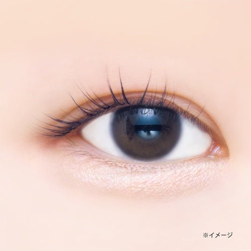 CANMAKE Plumpuku Coordinate Eyes by CANMAKE – Eye Shadow