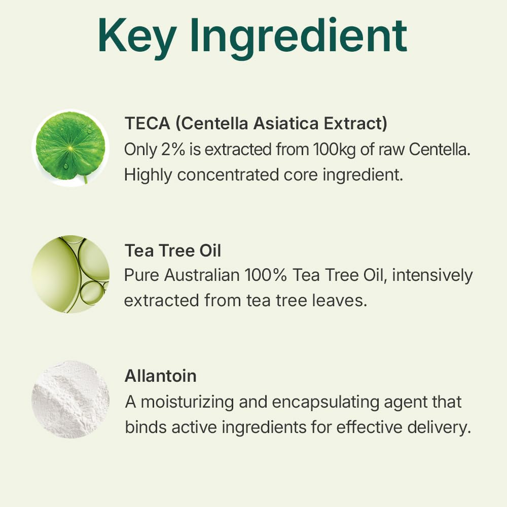 Centellian24 Madeca Powder Tea Tree AC 6g by Centellian24 – Serum & Ampoule