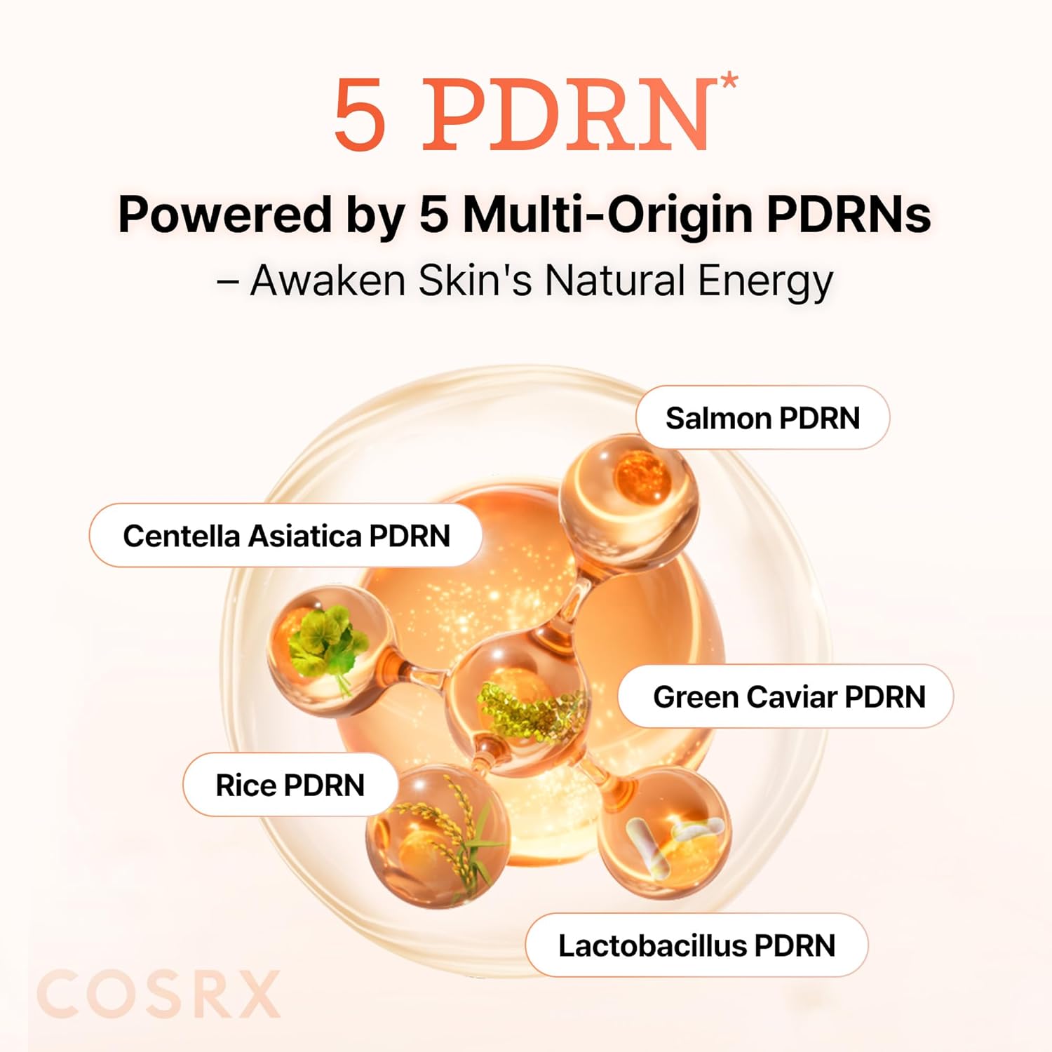 COSRX 5 PDRN B5 Vital Soothing Toner 280ml by COSRX – Toner & Essence