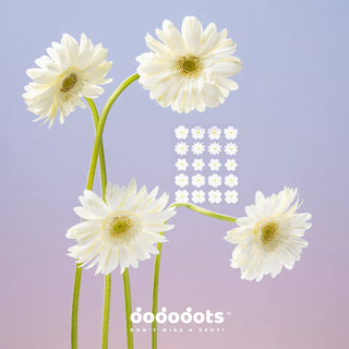 DODODOTS Beauty Patch Pure Petals 20p by DODODOTS – Pimple Patch photo