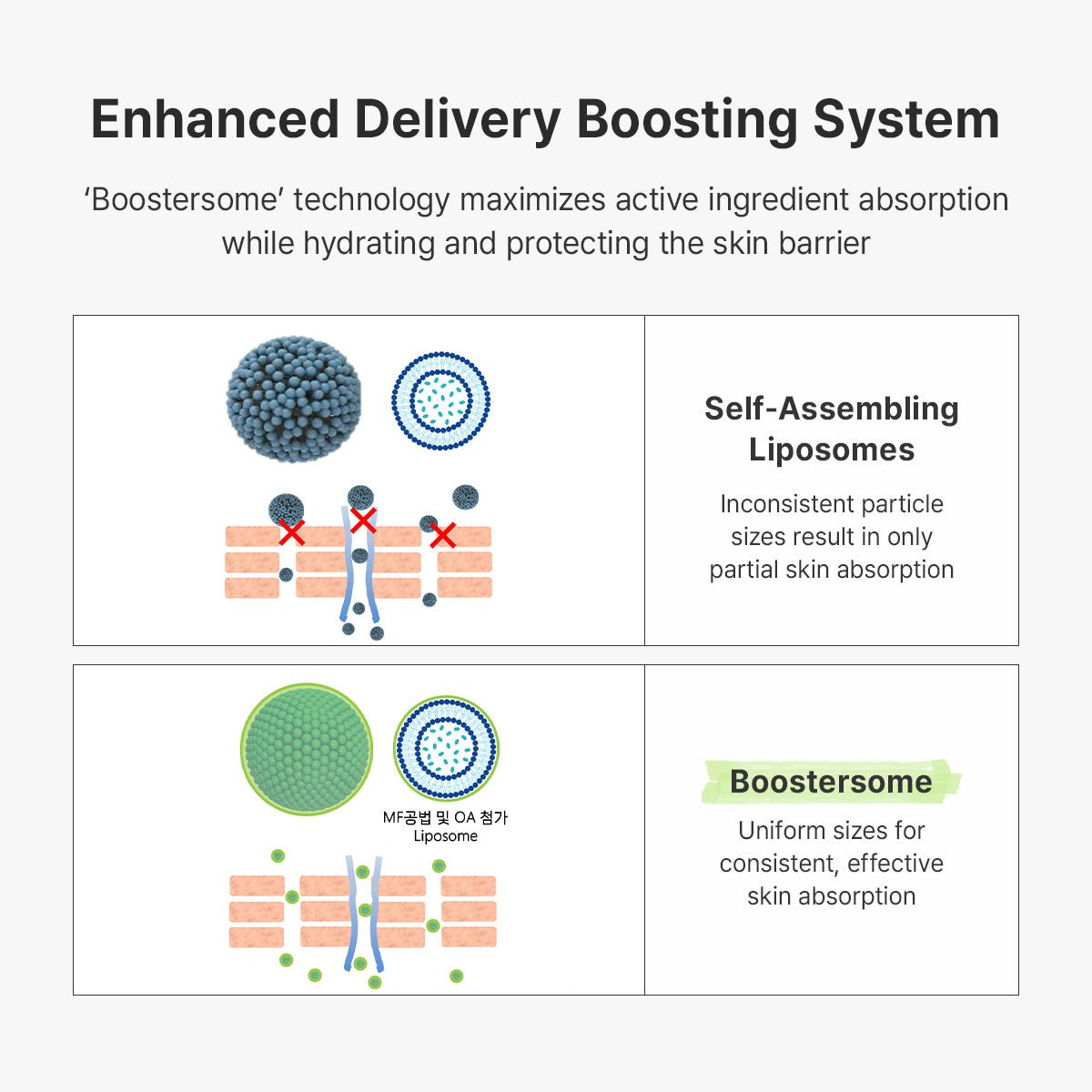 Dr. Althea PDRN Reju 10000 Cream 20g by Dr. Althea – Lotion & Cream
