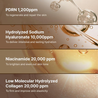 Dr. Reju - All Advanced PDRN Rejuvenating Cream 20g by Dr. Reju - All – Lotion & Cream photo