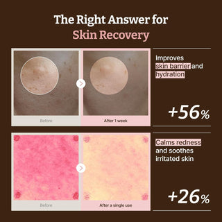 Dr.Reju - All Advanced PDRN Rejuvenating Cream 20ml by Dr. Reju - All – Lotion & Cream