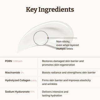Dr.Reju - All Advanced PDRN Rejuvenating Cream 20ml by Dr. Reju - All – Lotion & Cream