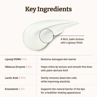 Dr.Reju - All Advanced PDRN Rejuvenating Lip Serum 10ml by Dr. Reju - All – Lip Treatment