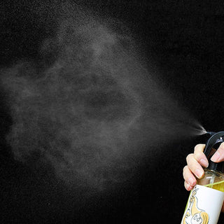 Elizavecca Cer 100 Collagen Coating Hair A+ Muscle Spray 250ml by Elizavecca – Hair Spray & Wax photo