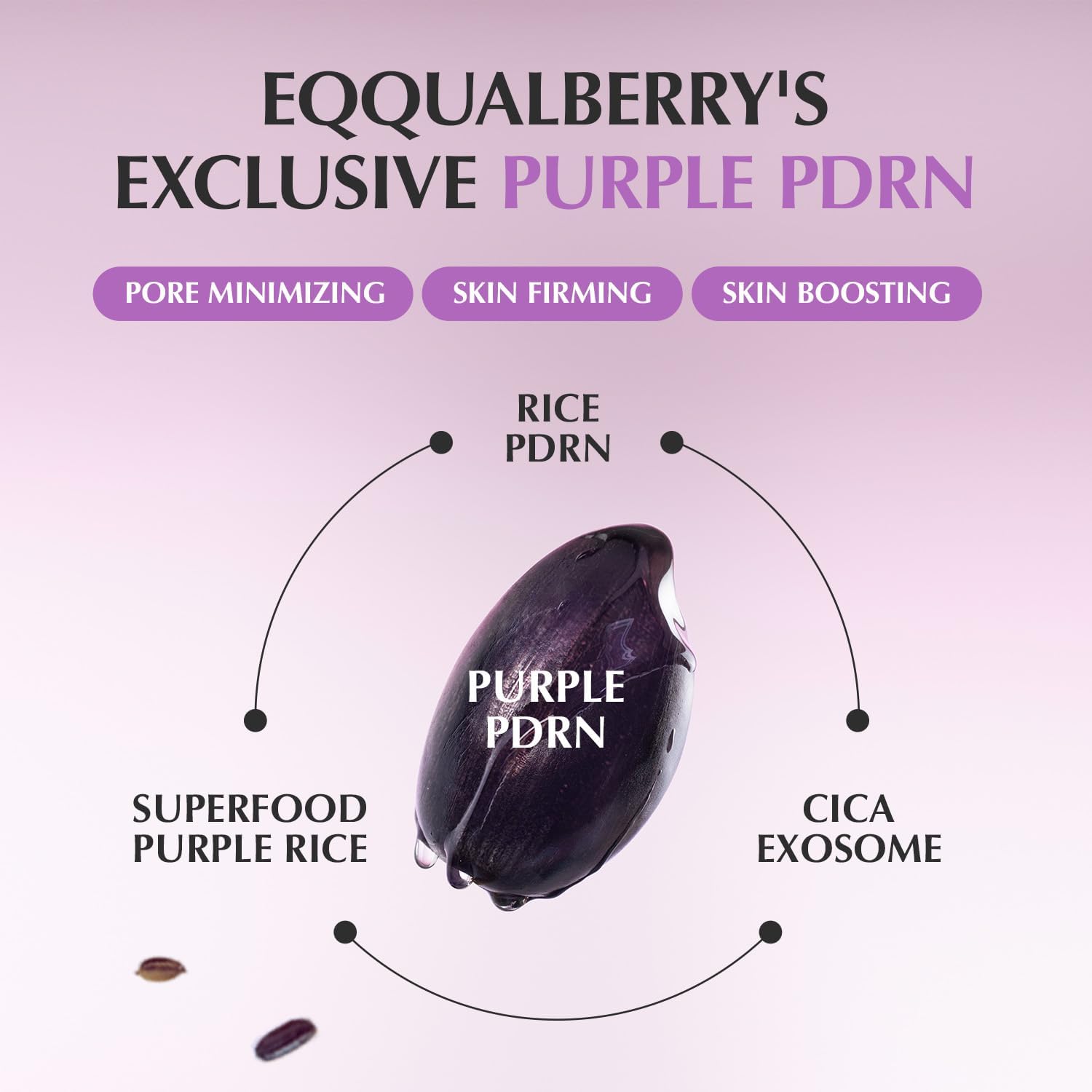 EQQUALBERRY Purple PDRN Pore Minimizing Serum 30ml by Eqqualberry – Serum & Ampoule