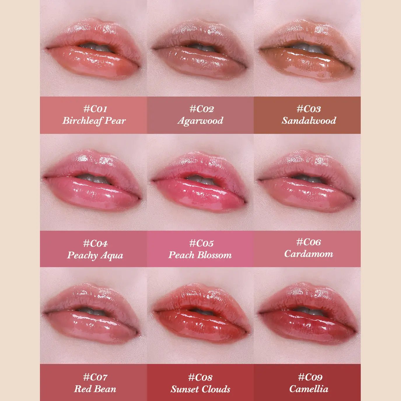 Flower Knows Butterfly Cloud Collar Collection Glossy Lipstick by Flower Knows – Lipstick