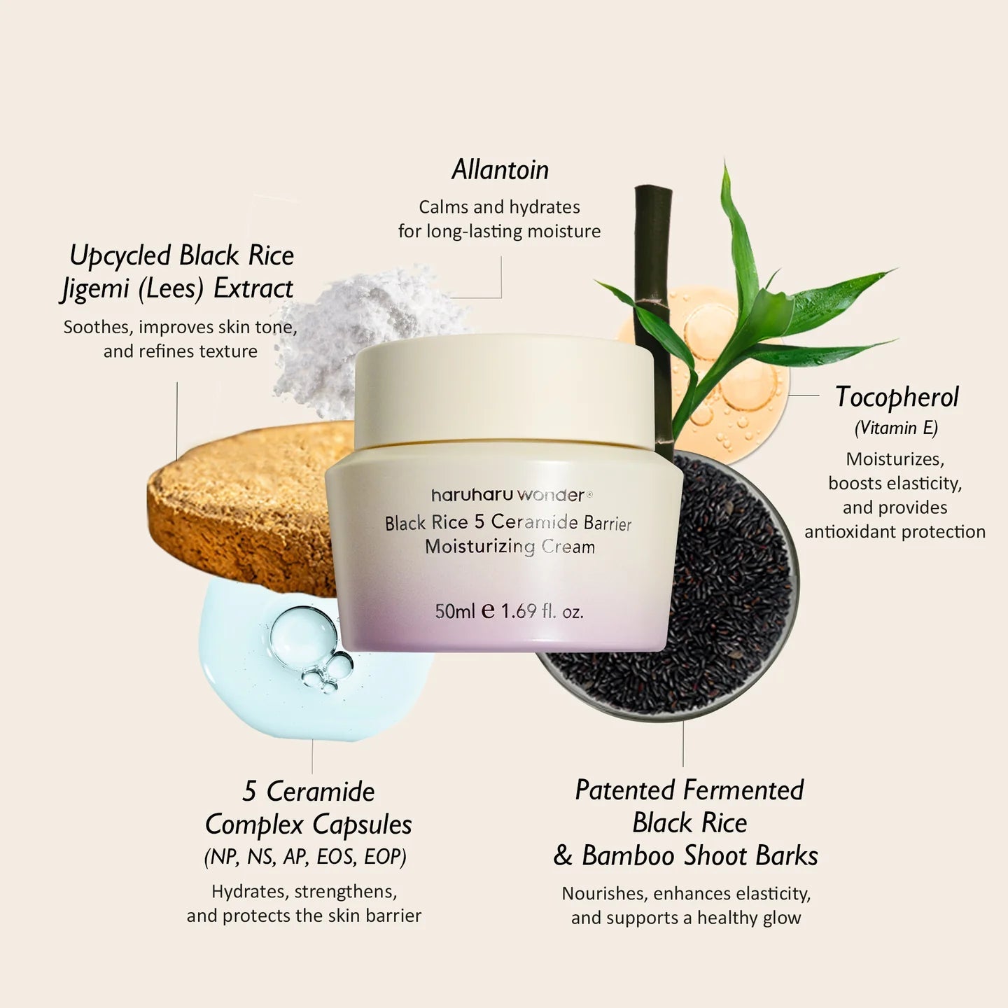 Haruharu Wonder Black Rice 5 Ceramide Barrier Moisturizing Cream 50ml by haruharu wonder – Lotion & Cream