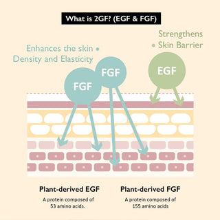 Haruharu Wonder Black Rice Hyaluronic Botanical 2GF Wonderful Ampoule 30ml by haruharu wonder – Serum & Ampoule photo