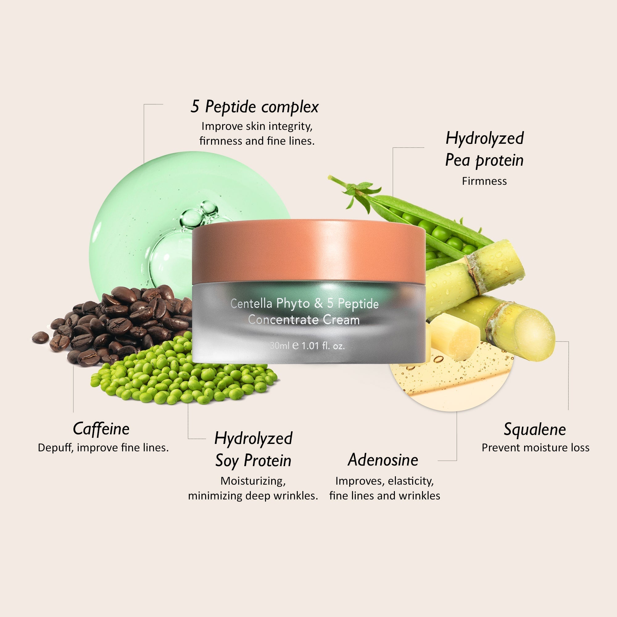 Haruharu Wonder Centella Phyto & 5 Peptide Concentrate Cream 30ml by haruharu wonder – Lotion & Cream