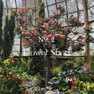 hetras Hotel Therapy Body Lotion 1013ml by Hetras – Body Lotion