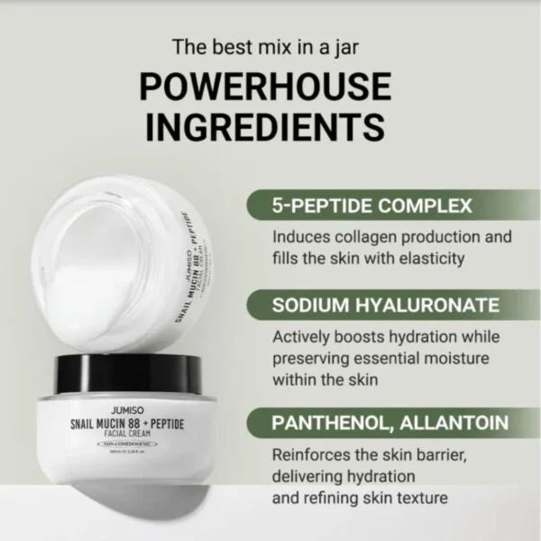 JUMISO Snail Mucin 88 + Peptide Facial Cream 100ml by Jumiso – Lotion & Cream