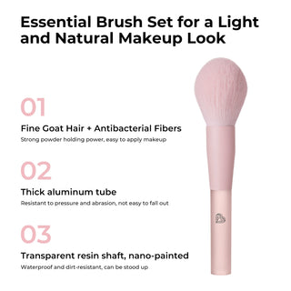 Make Up Brush Set Large Size Pink 11 - Piece - 2 Package - BLJ Cosmetics | Kiokii and...