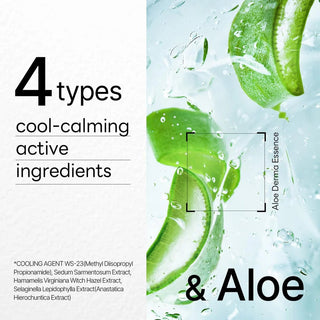 MEDIHEAL Dermaplus Aloe Mask 10pcs by Mediheal – Sheet Mask photo