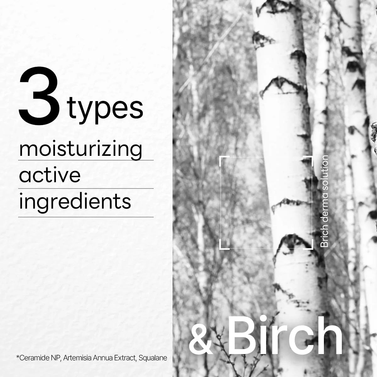 MEDIHEAL Dermaplus Birch Mask 10pcs by Mediheal – Sheet Mask