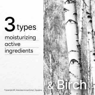 MEDIHEAL Dermaplus Birch Mask 10pcs by Mediheal – Sheet Mask photo