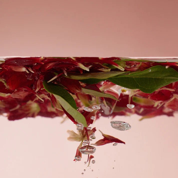 ROUND LAB Camellia Deep Collagen Jelly Mask Cleanser 150ml by Round Lab – Facial Cleanser