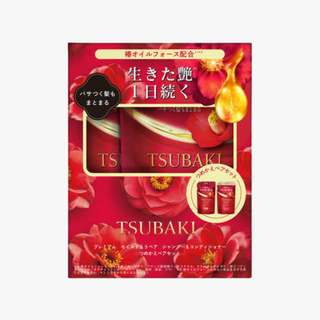 Shiseido Tsubaki Premium Moist & Repair Shampoo & Conditioner Refill Set by Shiseido – Shampoo & Conditioner Sets