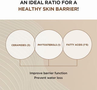 SKIN1004 Probio Cica Intensive Ampoule 95ml by SKIN1004 – Serum & Ampoule photo