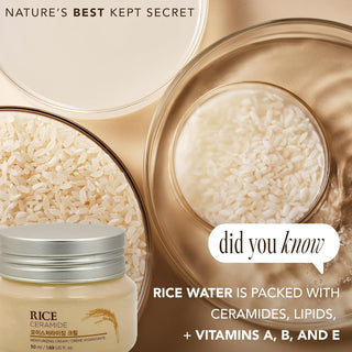 THE FACE SHOP Rice & Ceramide Moisturizing Cream 50ml by The Face Shop – Lotion & Cream photo