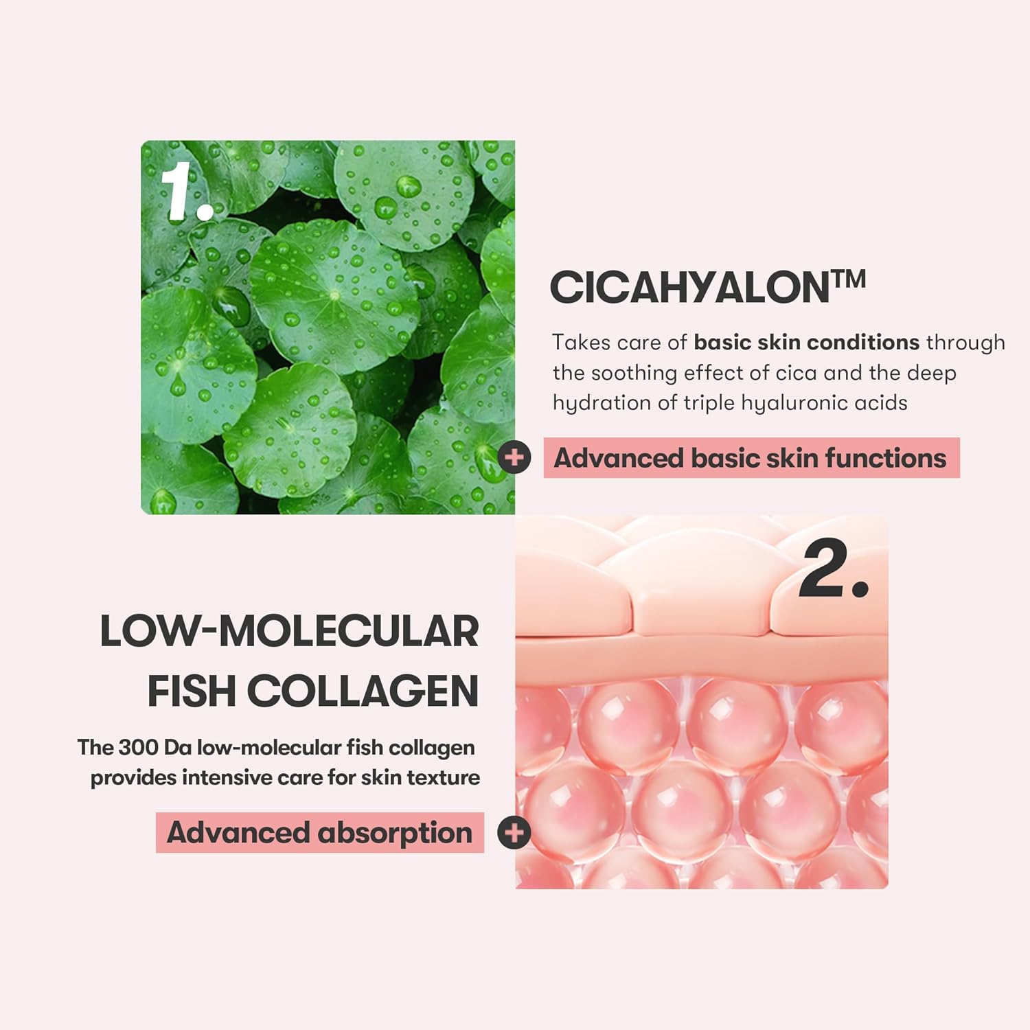 VT Cica Collagen Cream 30ml by VT Cosmetics – Lotion & Cream