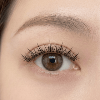WINKALA False Eyelashes Tulip Style 10mm - 12mm 60pcs by Kiokii and... – False Lashes