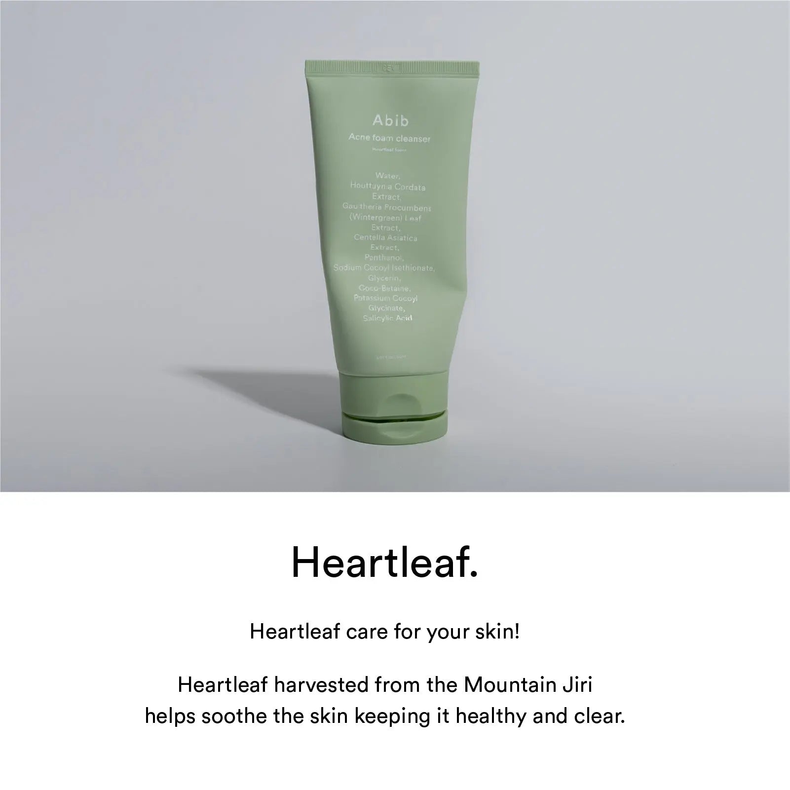 Abib Foam Cleanser Heartleaf Foam (2 Sizes) by Abib – Facial Cleanser