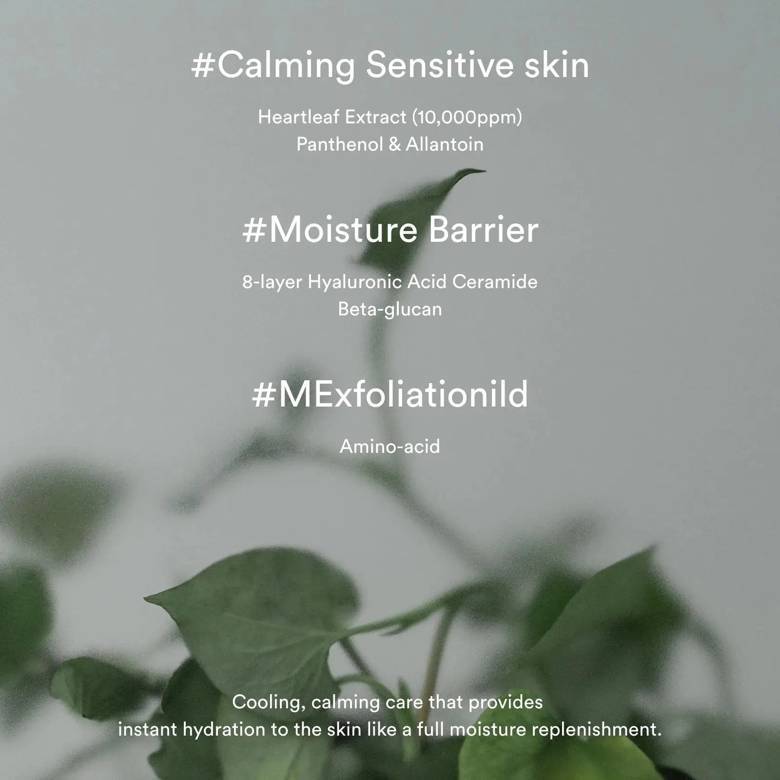 Abib Heartleaf Cream Calming Tube 75ml by Abib – Lotion & Cream