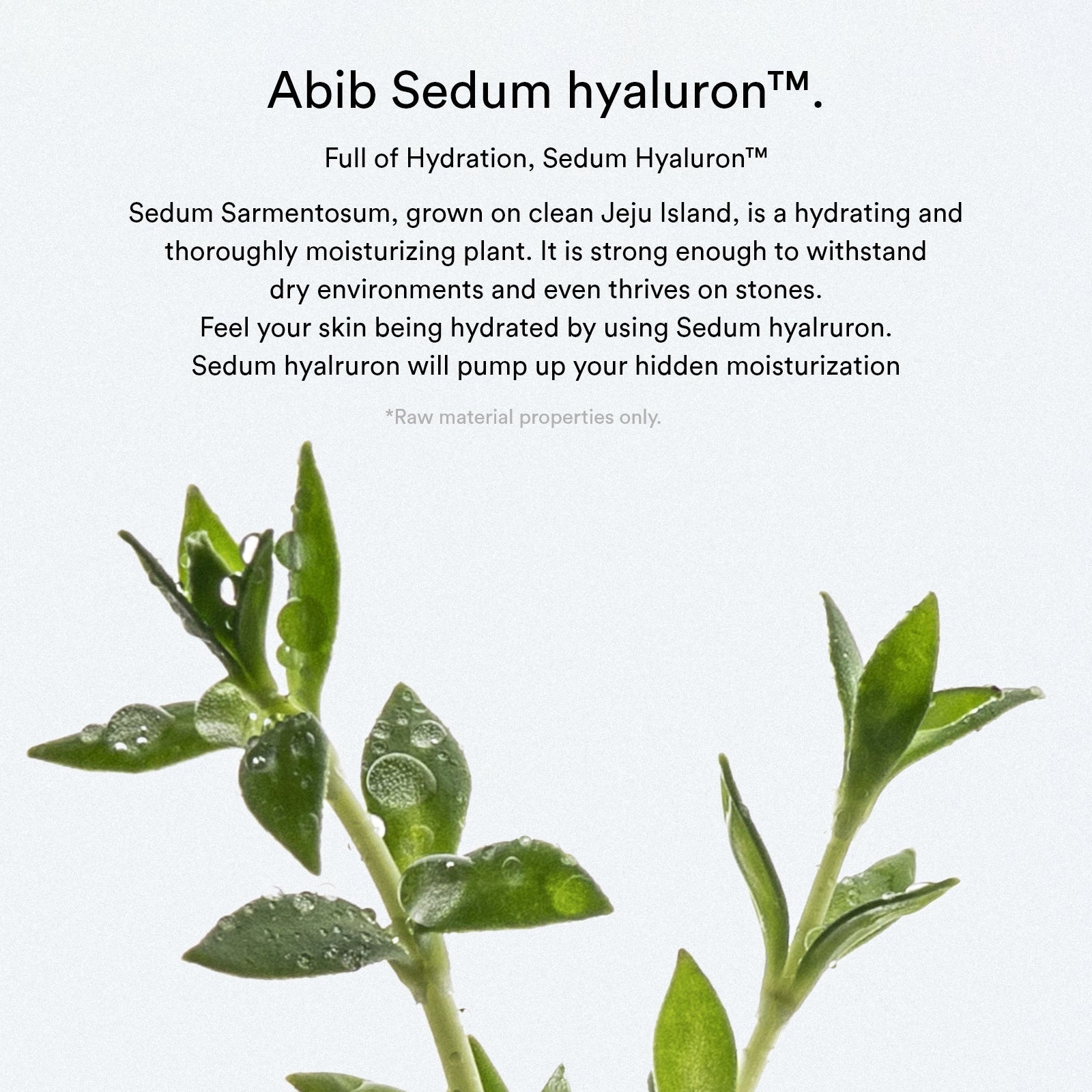 Abib Sedum Hyaluron Pad Hydrating Touch 60pcs - Abib | Kiokii and...