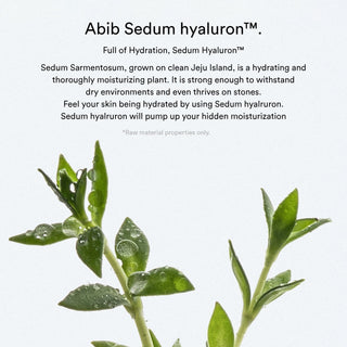 Abib Sedum Hyaluron Pad Hydrating Touch 60pcs - Abib | Kiokii and...