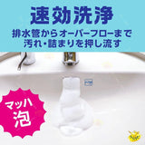 Earth Mach Foam Washbasin Cleaner 200ml - Earth | Kiokii and...