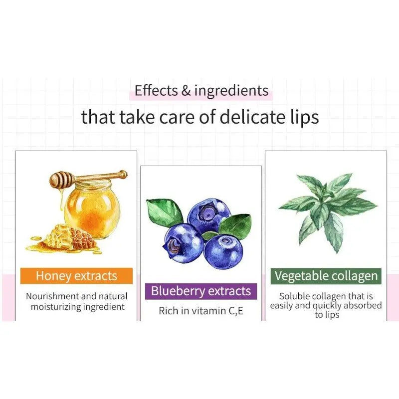Frudia Blueberry Honey Hydrating Lip Balm by Frudia – Lip Treatment