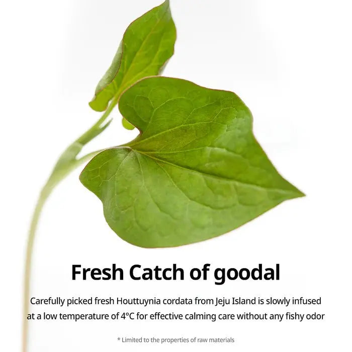 Goodal Heartleaf Calming Moisture Mask 5pcs by Goodal – Sheet Mask