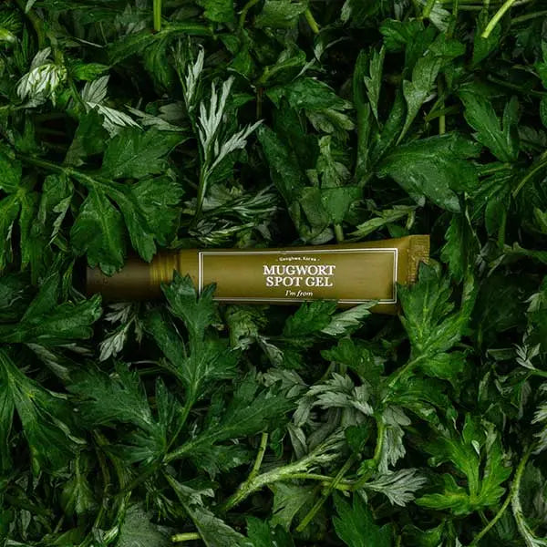 Im From Mugwort Spot Gel 15g by I'm From – Spot Treatment