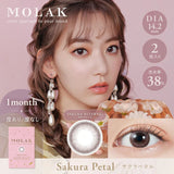 Molak 1 day Sakura Petal - Molak | Kiokii and...