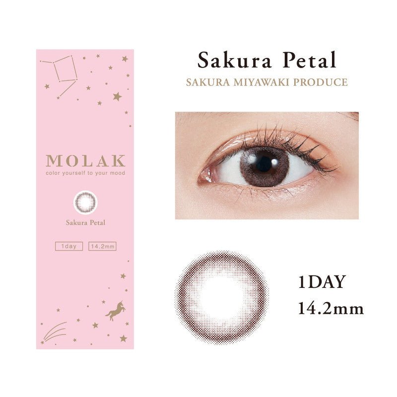 Molak 1 day Sakura Petal - Molak | Kiokii and...